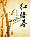 红楼春梦第七回王熙凤巧计假还愿梦