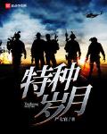 特种岁月庄严小说