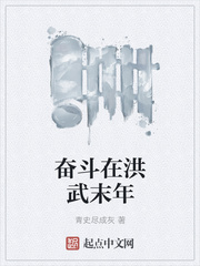奋斗在洪武末年 青史尽成灰笔趣阁