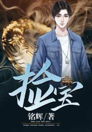 捡宝王观