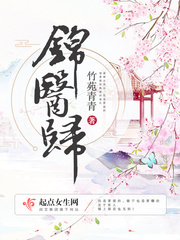 锦医卫小说阅读