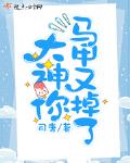 大神你马甲又掉了下载