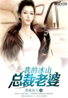 我的冰山总裁老婆全本小说