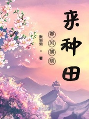 猫头懒懒的小说