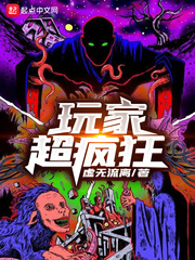 玩家超疯狂小说