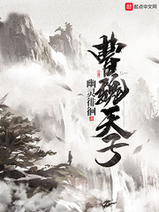 曹魏之子小说