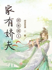 家有娇夫沉