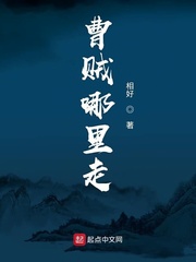 曹贼指的是谁