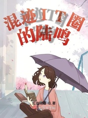 混迹工厂小说