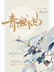 青城小说百度百科