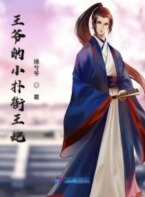 王爷府的小王妃