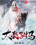 大炎驸马小说