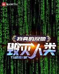 我没想毁灭世界 小说