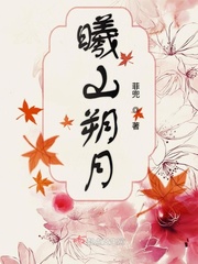 曦山朔月小说签约在哪