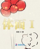 体面1小说