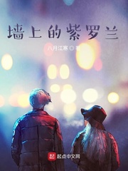 紫罗兰墙壁配什么颜色窗帘