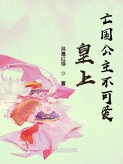 皇上的亡国公主