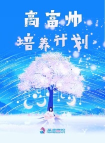 高富帅人设打造