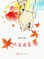 等风等你啥意思