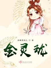 金灵珑小说全本免费阅读