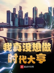 我真没想做时代大亨小说全文免费阅读