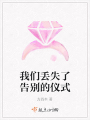 我们丢失了告别的仪式小说全本阅读