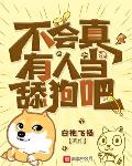 白袍飞扬小说作者是谁写的
