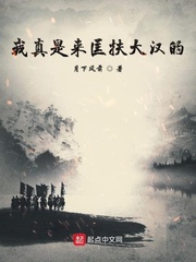 来匡扶大汉吗小说