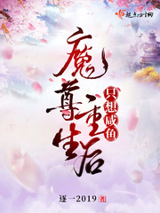 《魔尊重生》
