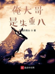 我大哥叫朱重八 第20章小说