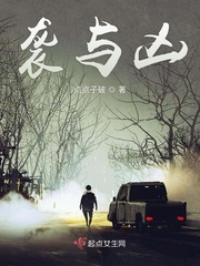 小说袭夺