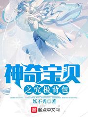 精灵宝可梦之背包系统
