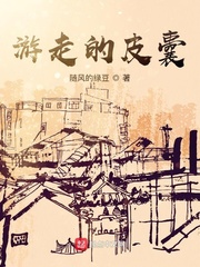 皮囊在线全文免费阅读