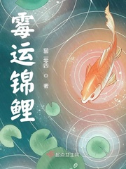 锦鲤运小说