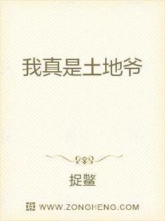 我真是土地爷txt