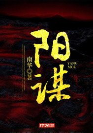 阴谋阳谋满天飞的小说