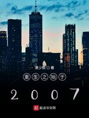 重生之始于2007txt