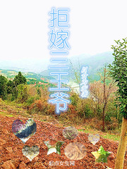 拒嫁暴君王爷