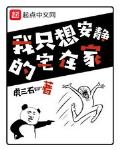 我只想安静的宅在家小说免费阅读无弹窗