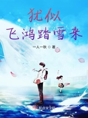 飞鸿踏雪的意思是什么意思