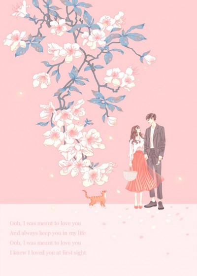 段爷是什么小说