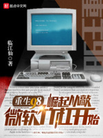 重生98崛起从敲微软竹杠开始小说