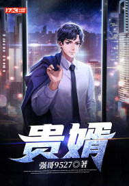 贵婿完整版