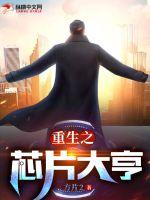 重生芯片巨头txt