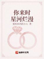 你来时星河闪耀免费下载