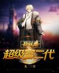 小说我是超级富二代