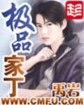 极品家丁小说阅读免费无弹窗
