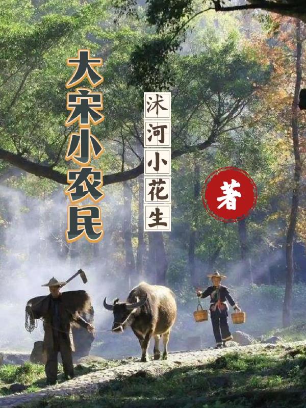 大宋农民起义小说沭河小花生
