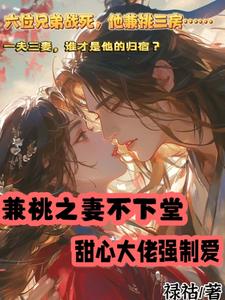 平妻逆袭记 小说