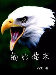 缅甸 缅北